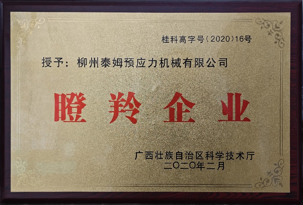 瞪羚企業(yè).jpg