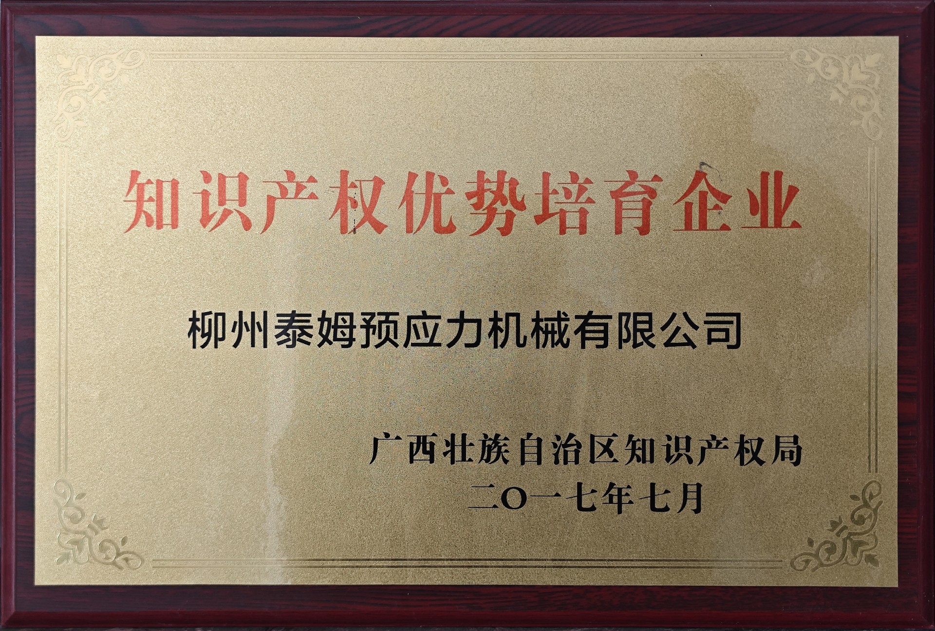 5知識產(chǎn)權(quán)優(yōu)勢培育企業(yè).jpg